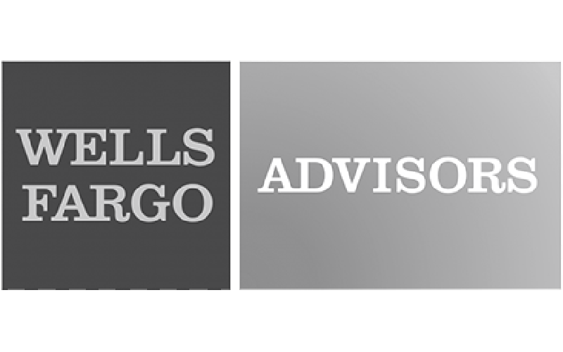 Well fargo logo